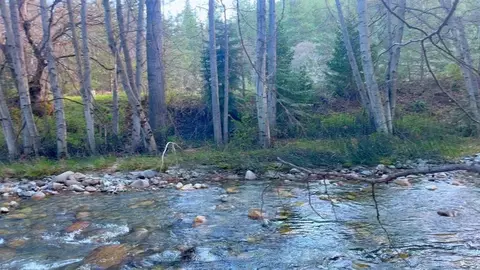 Other - 32 Esther Warren Rd, Etna, CA 96027 photo 8 of 9