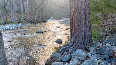 Other - 32 Esther Warren Rd, Etna, CA 96027 photo 9 of 9