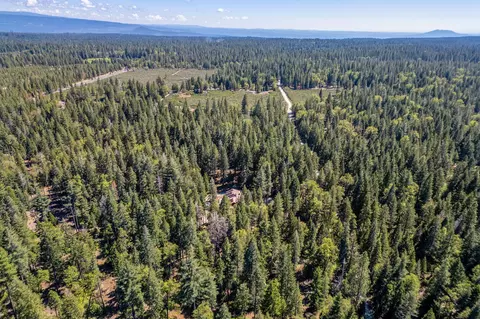 View/Area - 8275 Sky Tree Ln, Shingletown, CA 96088 photo 2 of 12