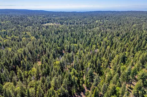 View/Area - 8275 Sky Tree Ln, Shingletown, CA 96088 photo 11 of 12