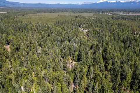 View/Area - 8275 Sky Tree Ln, Shingletown, CA 96088 photo 6 of 12