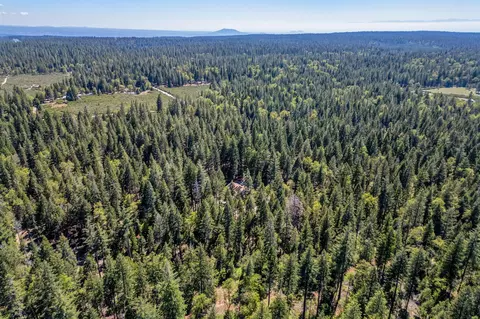 View/Area - 8275 Sky Tree Ln, Shingletown, CA 96088 photo 12 of 12