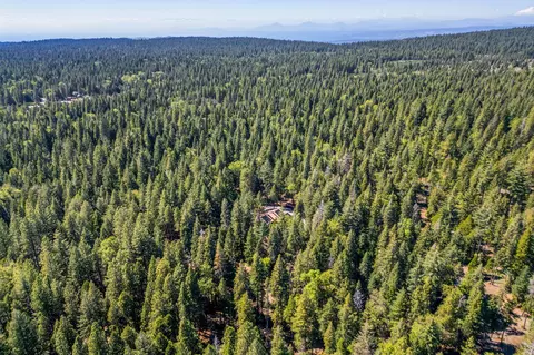 View/Area - 8275 Sky Tree Ln, Shingletown, CA 96088 photo 10 of 12