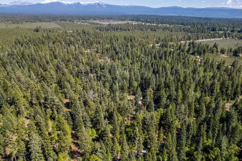 View/Area - 8275 Sky Tree Ln, Shingletown, CA 96088 photo 9 of 12