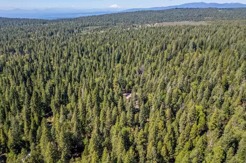 View/Area - 8275 Sky Tree Ln, Shingletown, CA 96088 photo 8 of 12