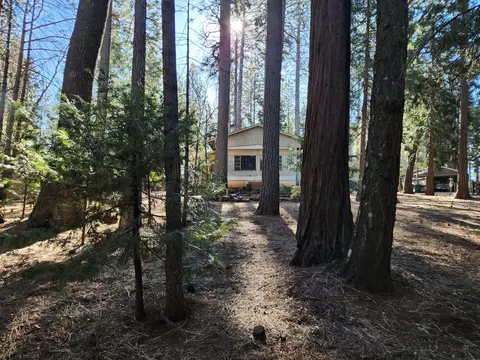 30629 Thumper Dr, Shingletown, CA 96088