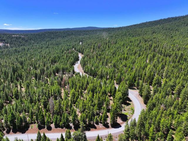 7783 California Pines Blvd, Alturas, CA 96101