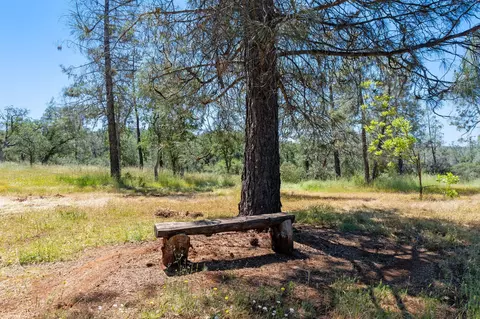 Other - 7117 Pine Bluff Dr, Shingletown, CA 96088 photo 6 of 15
