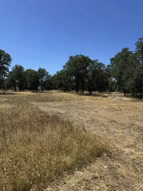 Old Oregon Trail, Redding, CA 96003 photo 6