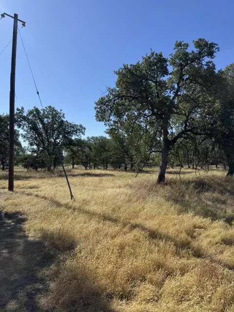 Old Oregon Trail, Redding, CA 96003 photo 8