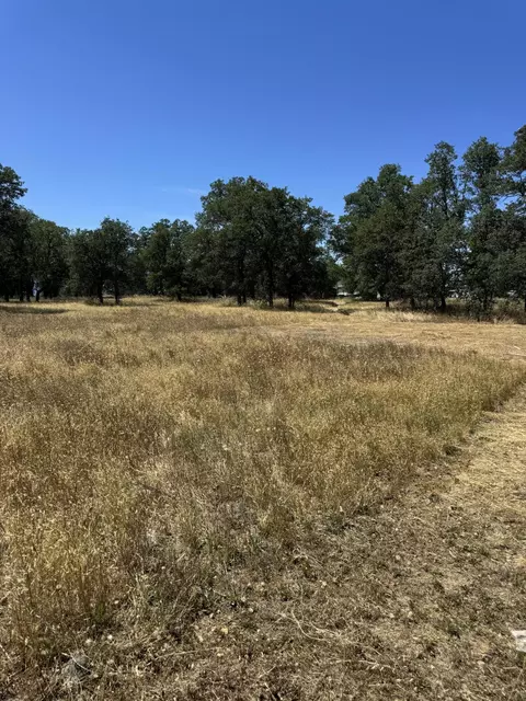 Old Oregon Trail, Redding, CA 96003 photo 5
