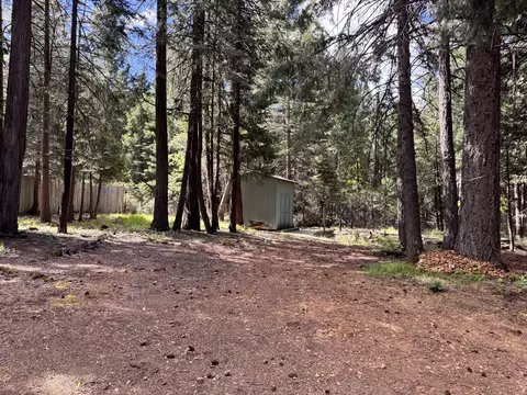 Exterior - 33837 Constellation Dr, Shingletown, CA 96088 photo 3 of 3