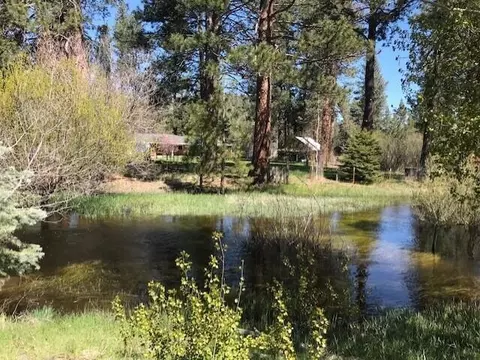 View/Area - 19031 Old State Hwy, Macdoel, CA 96058 photo 13 of 22