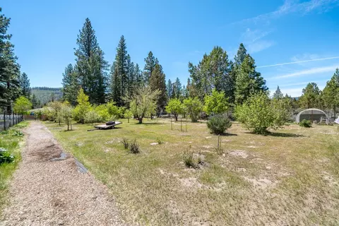 Exterior - 19031 Old State Hwy, Macdoel, CA 96058 photo 20 of 30