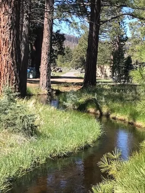 View/Area - 19031 Old State Hwy, Macdoel, CA 96058 photo 12 of 22
