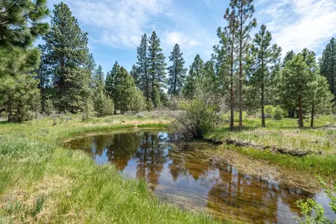 Other - 19031 Old State Hwy, Macdoel, CA 96058 photo 2 of 61