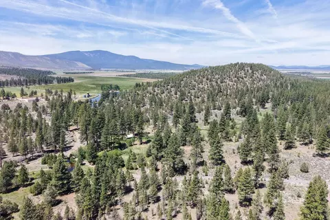 View/Area - 19031 Old State Hwy, Macdoel, CA 96058 photo 21 of 22