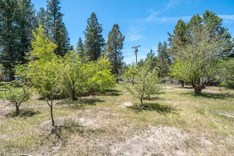 Exterior - 19031 Old State Hwy, Macdoel, CA 96058 photo 21 of 30