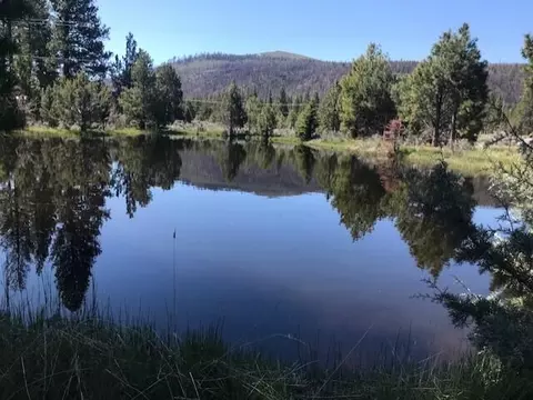 View/Area - 19031 Old State Hwy, Macdoel, CA 96058 photo 2 of 22