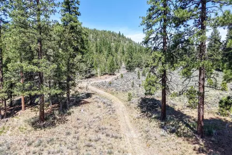 Other - 19031 Old State Hwy, Macdoel, CA 96058 photo 56 of 61