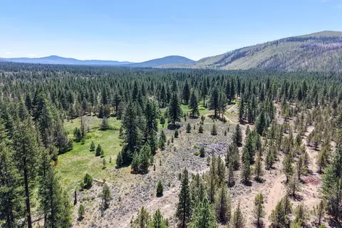 View/Area - 19031 Old State Hwy, Macdoel, CA 96058 photo 19 of 22