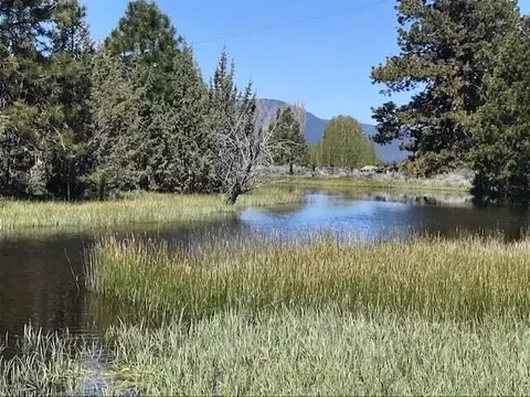 View/Area - 19031 Old State Hwy, Macdoel, CA 96058 photo 11 of 22
