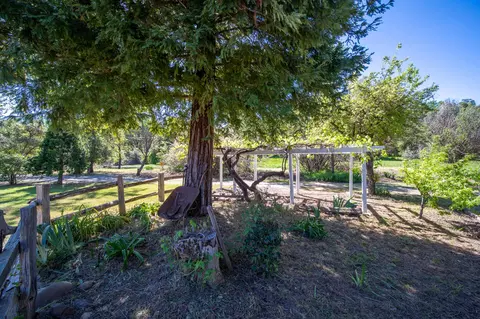 21334 Dersch Rd, Anderson, CA 96007 photo 50