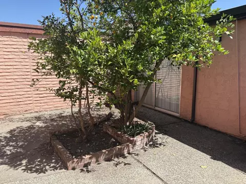 Exterior - 251 Aurora Ave, Davis, CA 95616 photo 5 of 6