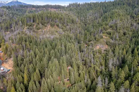View/Area - 200 Button Rd, Weaverville, CA 96093 photo 3 of 5