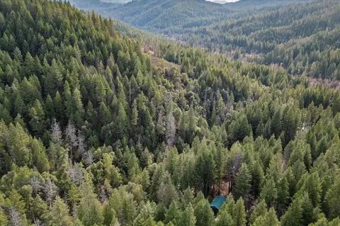View/Area - 200 Button Rd, Weaverville, CA 96093 photo 5 of 5
