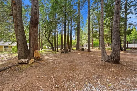 Exterior - 33829 Constellation Dr, Shingletown, CA 96088 photo 12 of 13