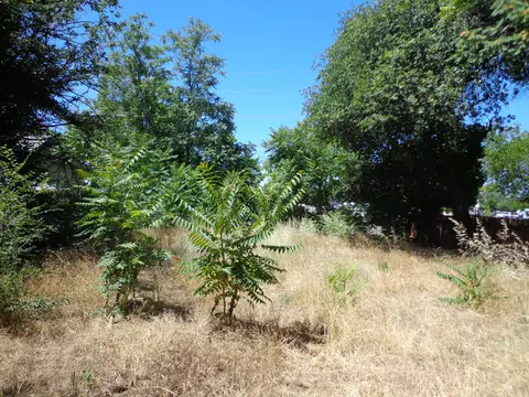 Undisclosed, Redding, CA 96001 photo 5