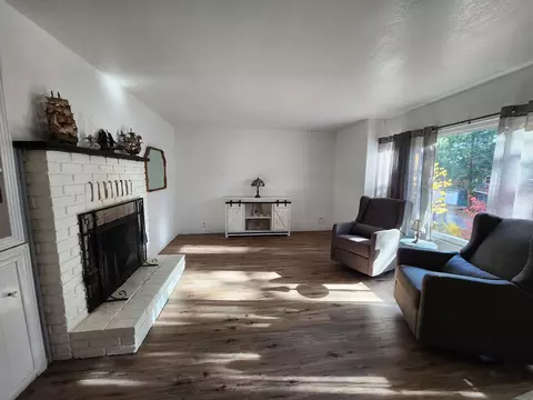Living - 36882 Holly Ave, Burney, CA 96013 photo 3 of 5