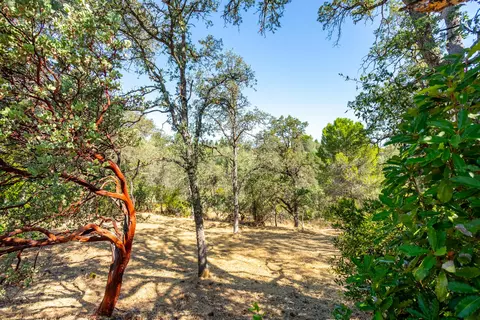 866 Pioneer Dr, Redding, CA 96001 photo 11
