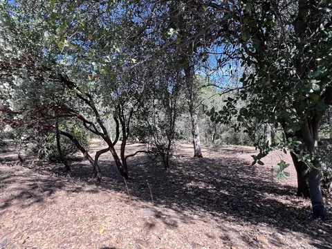 866 Pioneer Dr, Redding, CA 96001 photo 5