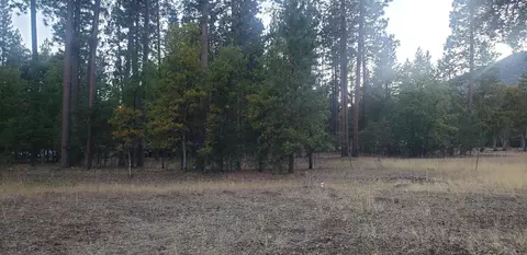 Other - 41077 Last Chance Ln, Fall River Mills, CA 96028 photo 2 of 4
