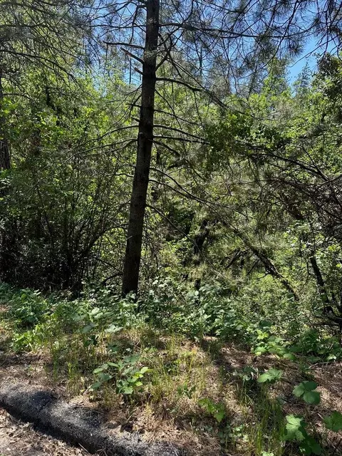 Yurok, Lakehead, CA 96051