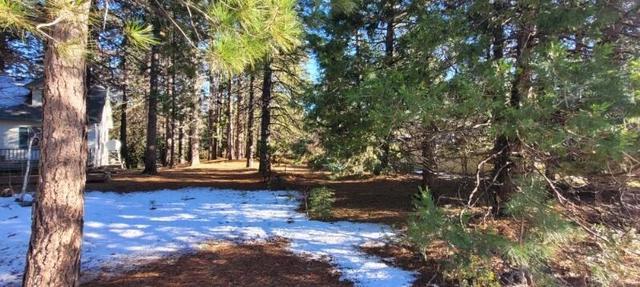 APT 000 Holiday Road, Mount Shasta, CA 96067