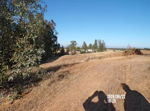Exterior - 13552 Baker Rd, Red Bluff, CA 96080 photo 3 of 5