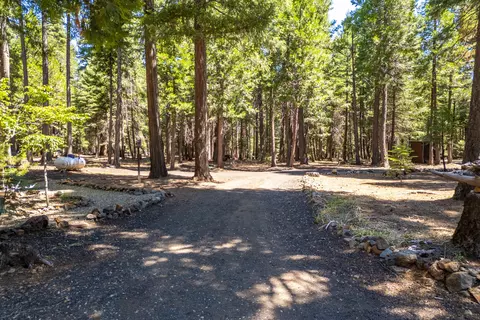 8308 Lost Mill Rd, Shingletown, CA 96088 photo 47