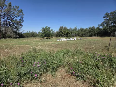 Other - 21590 Purple Pl, Manton, CA 96059 photo 3 of 11