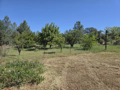 Exterior - 21590 Purple Pl, Manton, CA 96059 photo 5 of 11