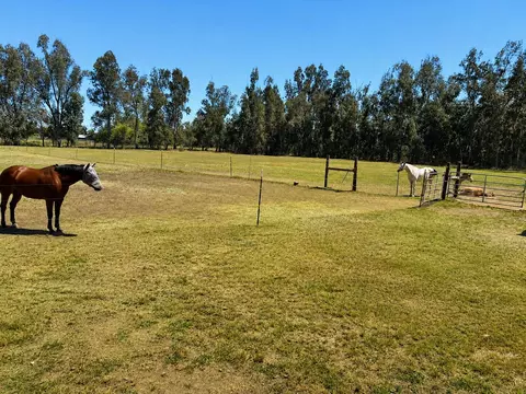 Other - 10982 Rawson Rd, Red Bluff, CA 96080 photo 4 of 4