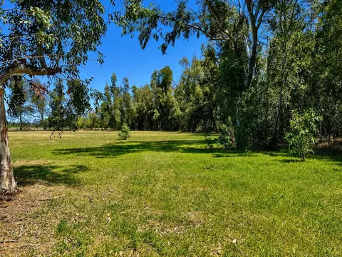 Exterior - 10982 Rawson Rd, Red Bluff, CA 96080 photo 7 of 10