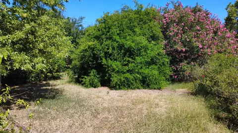 Exterior - 1039 1st St, Red Bluff, CA 96080 photo 4 of 4