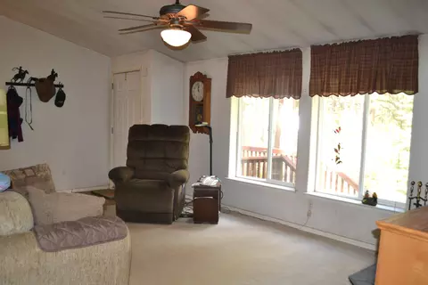 34 Hideaway Ln, Adin, CA 96006 photo 4