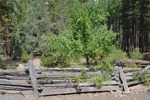 34 Hideaway Ln, Adin, CA 96006 photo 24