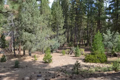 34 Hideaway Ln, Adin, CA 96006 photo 23