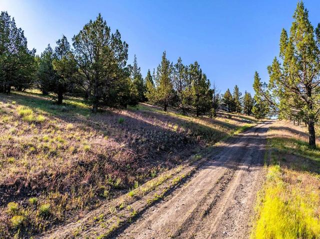 737 Raccoon Ln, Alturas, CA 96101