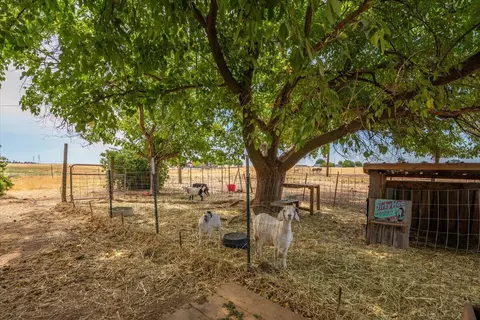 Exterior - 20050 Plains Dr, Red Bluff, CA 96080 photo 44 of 56